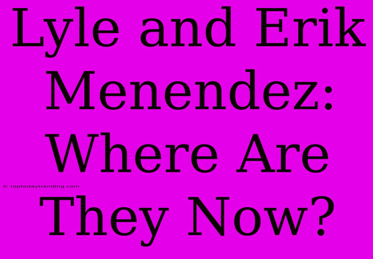 Lyle And Erik Menendez: Where Are They Now?