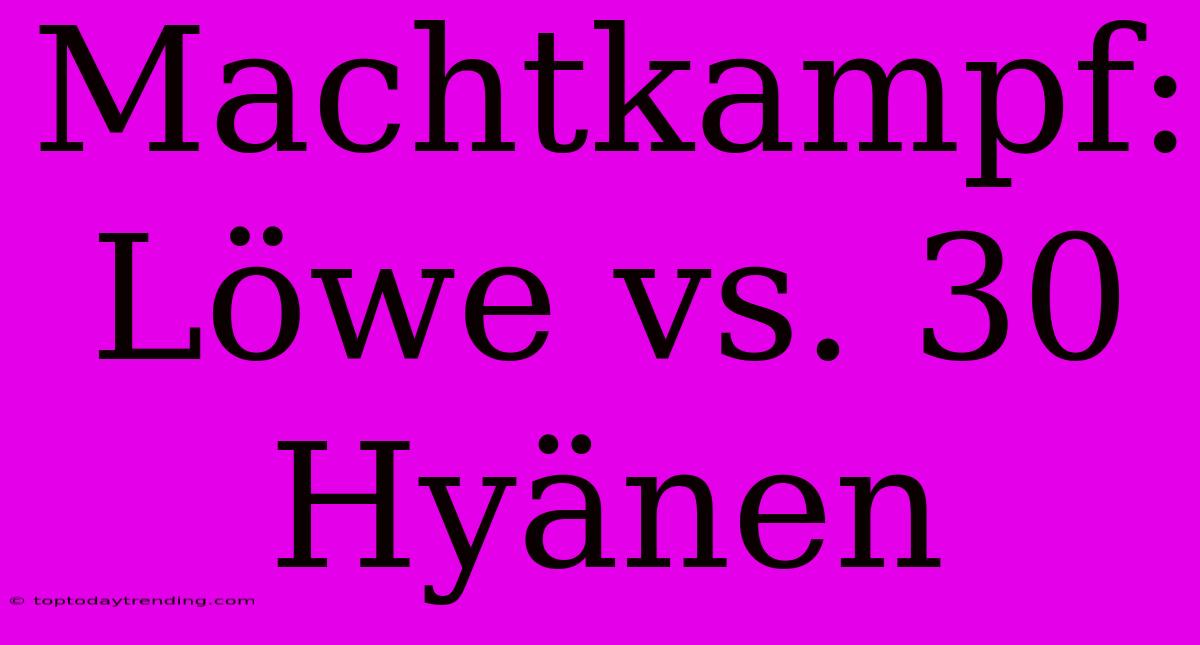 Machtkampf: Löwe Vs. 30 Hyänen