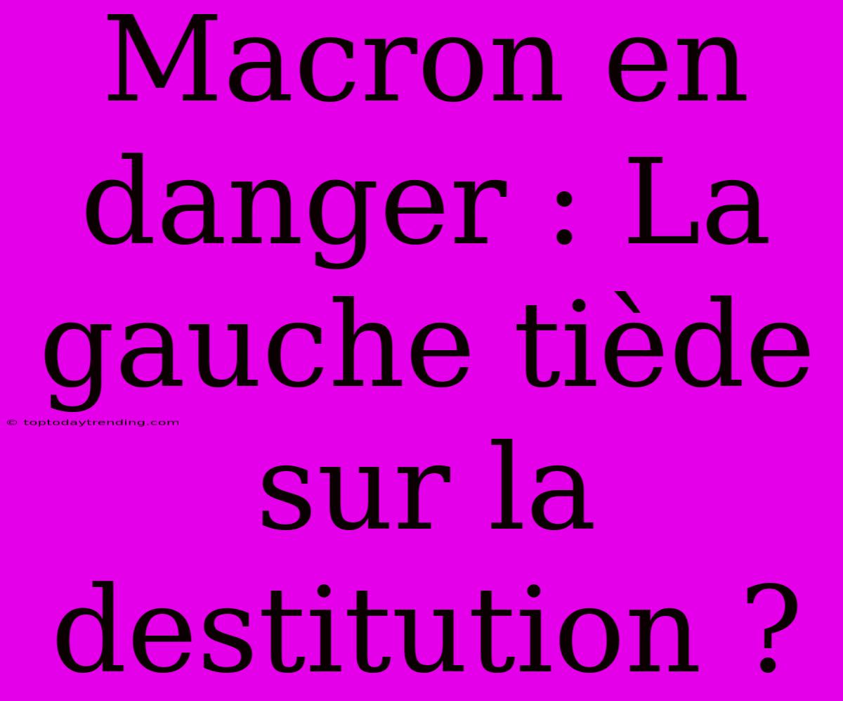 Macron En Danger : La Gauche Tiède Sur La Destitution ?