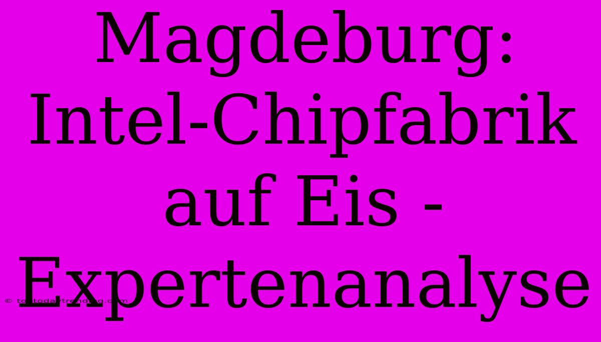 Magdeburg: Intel-Chipfabrik Auf Eis - Expertenanalyse