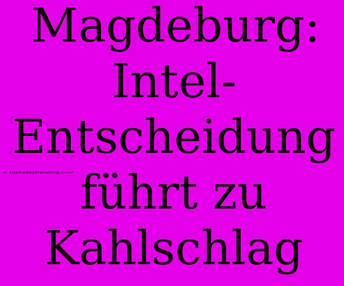 Magdeburg: Intel-Entscheidung Führt Zu Kahlschlag