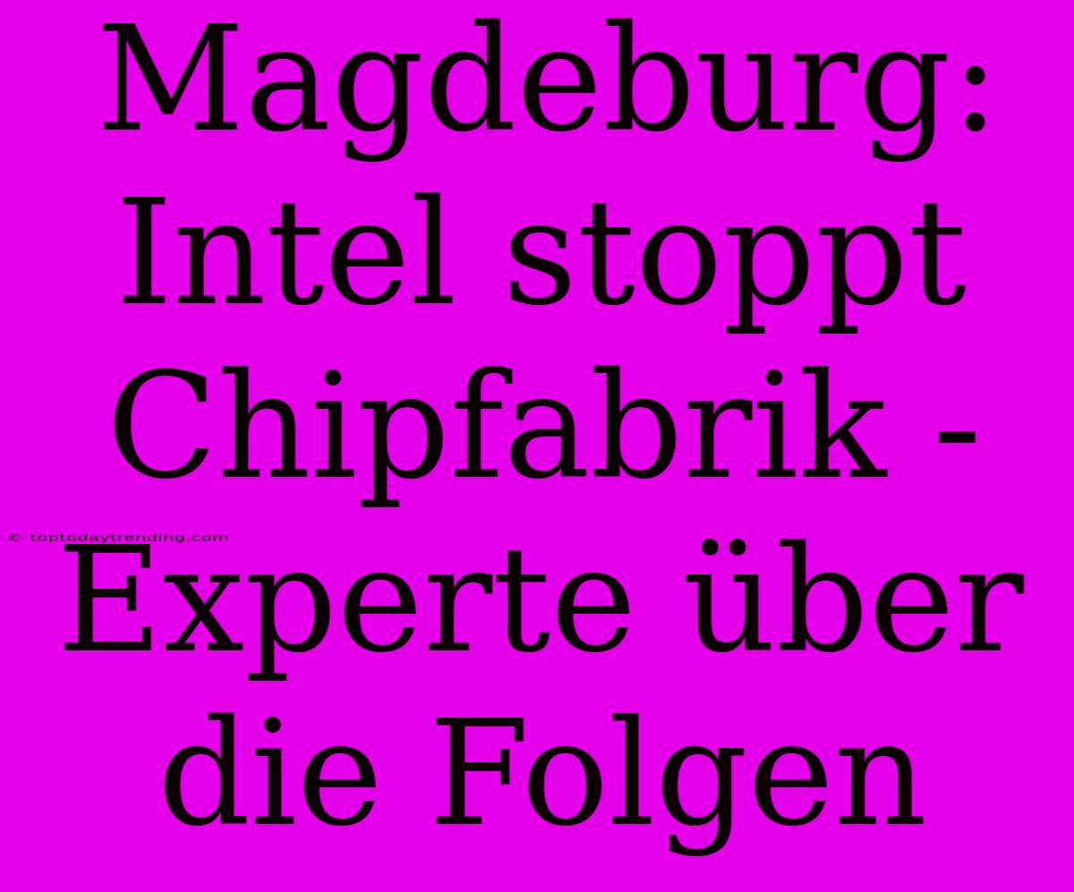 Magdeburg: Intel Stoppt Chipfabrik - Experte Über Die Folgen