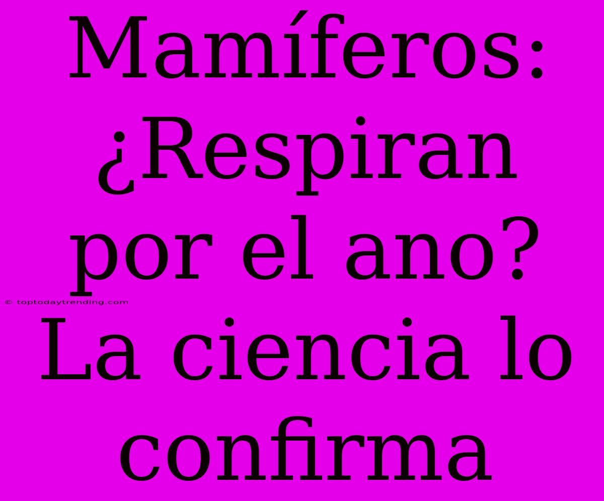 Mamíferos: ¿Respiran Por El Ano? La Ciencia Lo Confirma