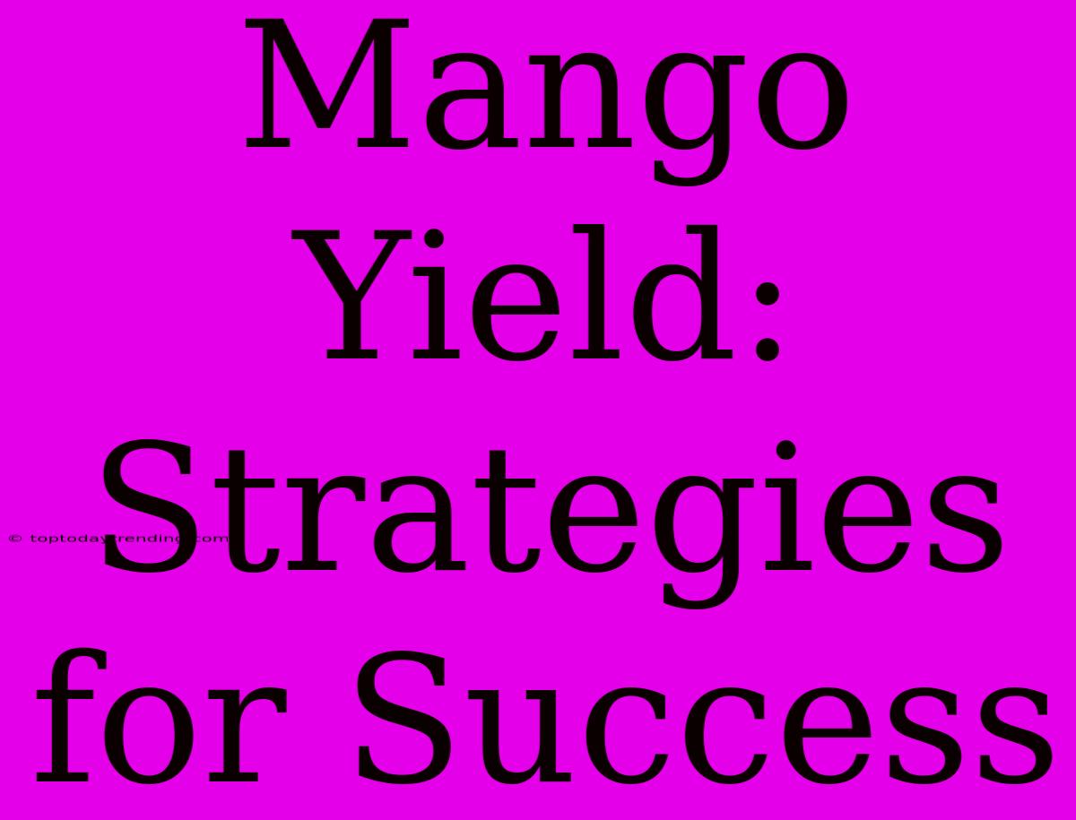 Mango Yield: Strategies For Success