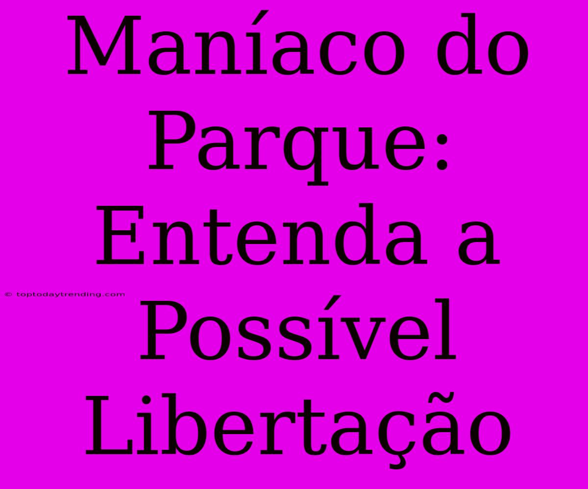 Maníaco Do Parque: Entenda A Possível Libertação