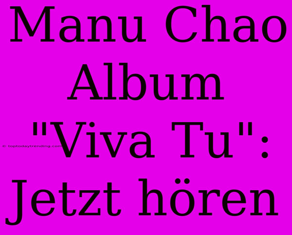 Manu Chao Album 