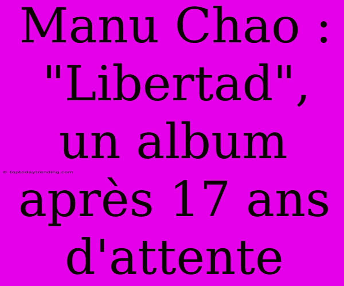 Manu Chao : 