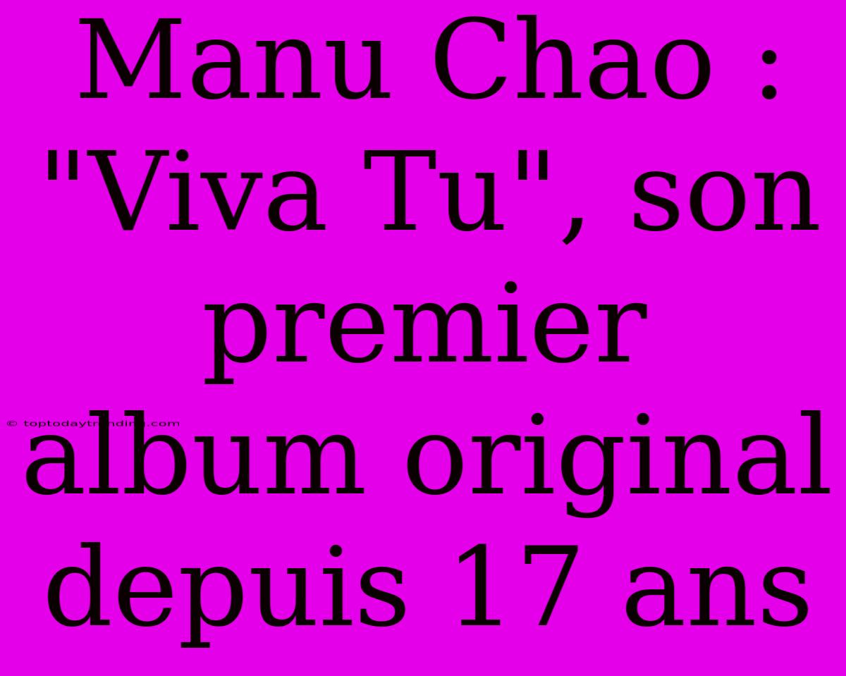 Manu Chao : 