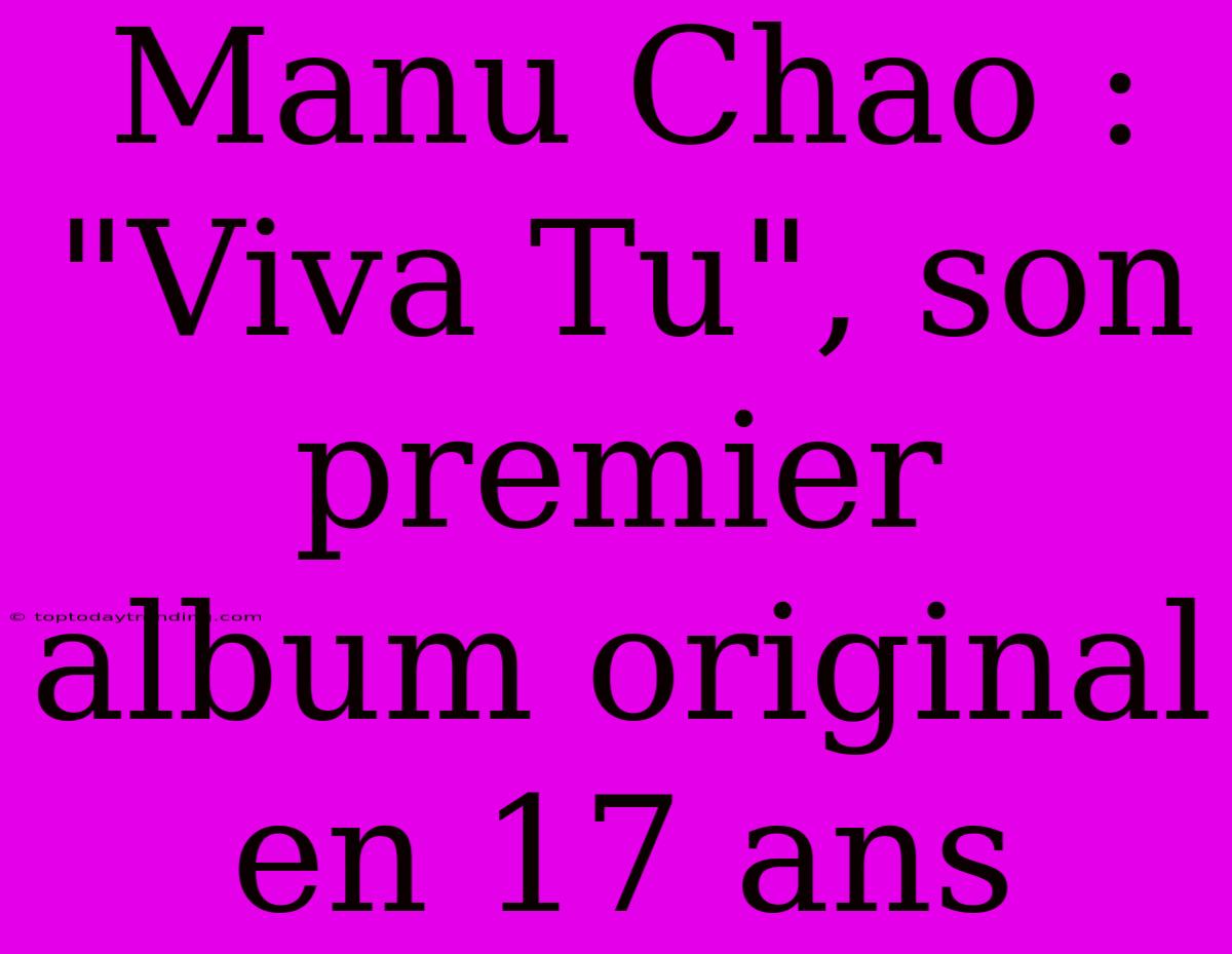 Manu Chao : 