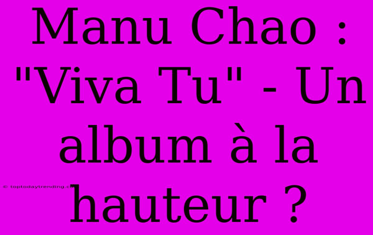 Manu Chao : 