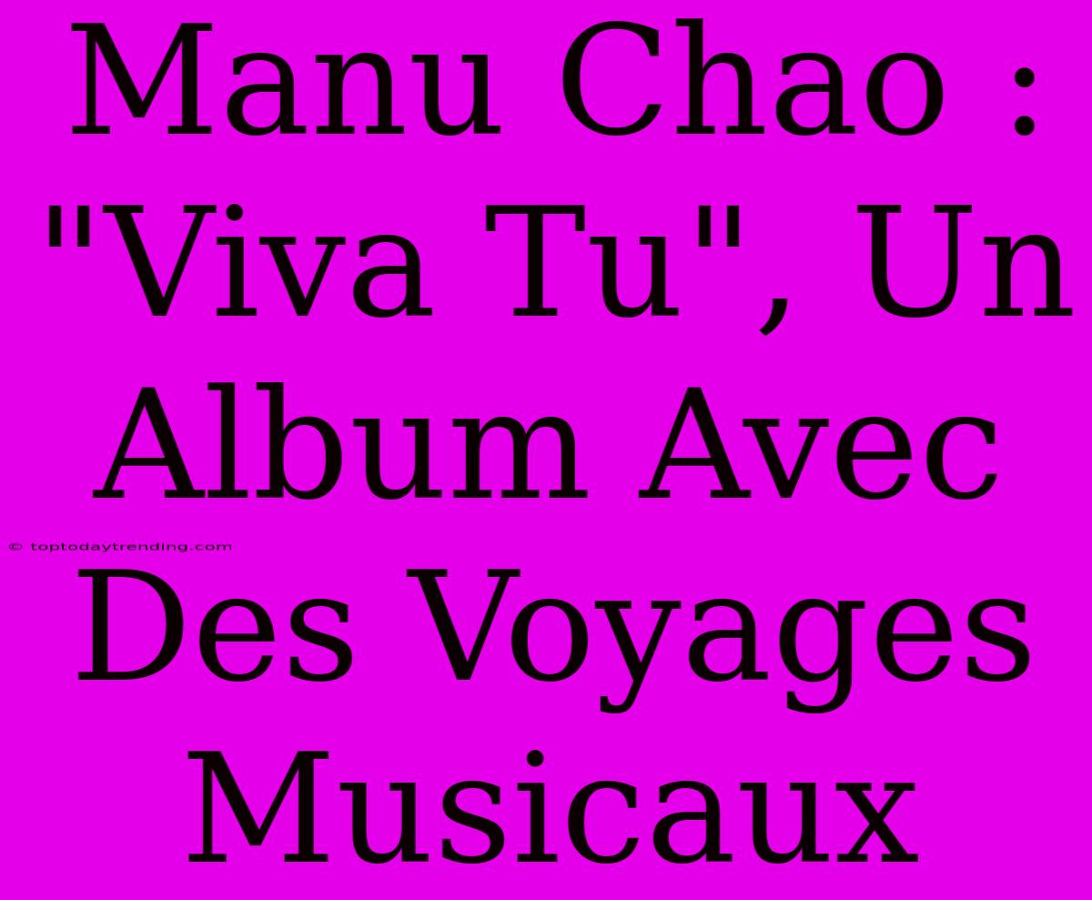 Manu Chao : 