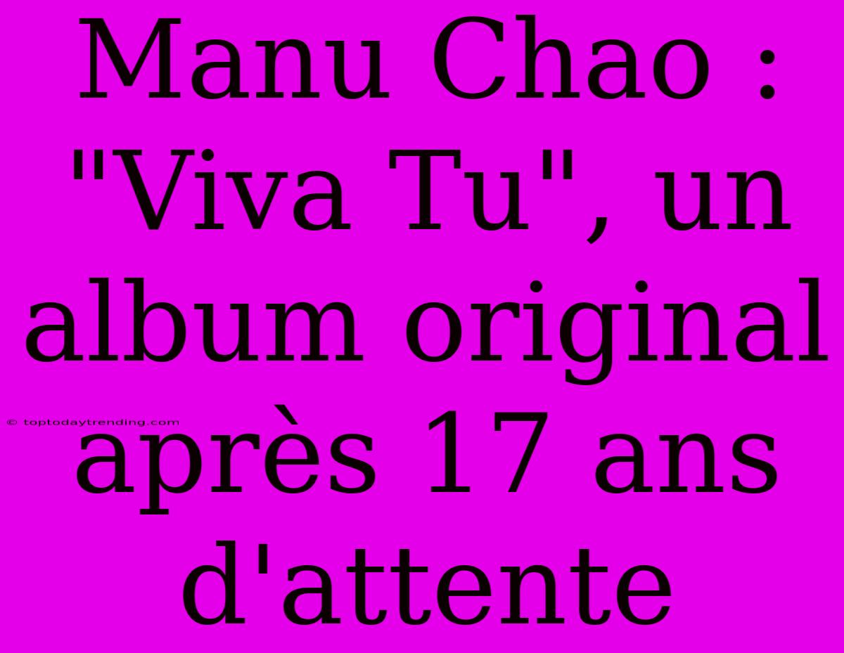 Manu Chao : 