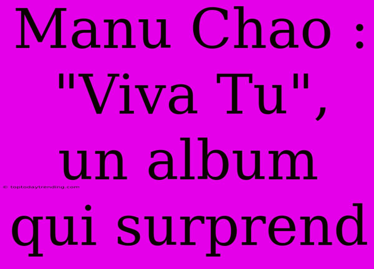 Manu Chao : 