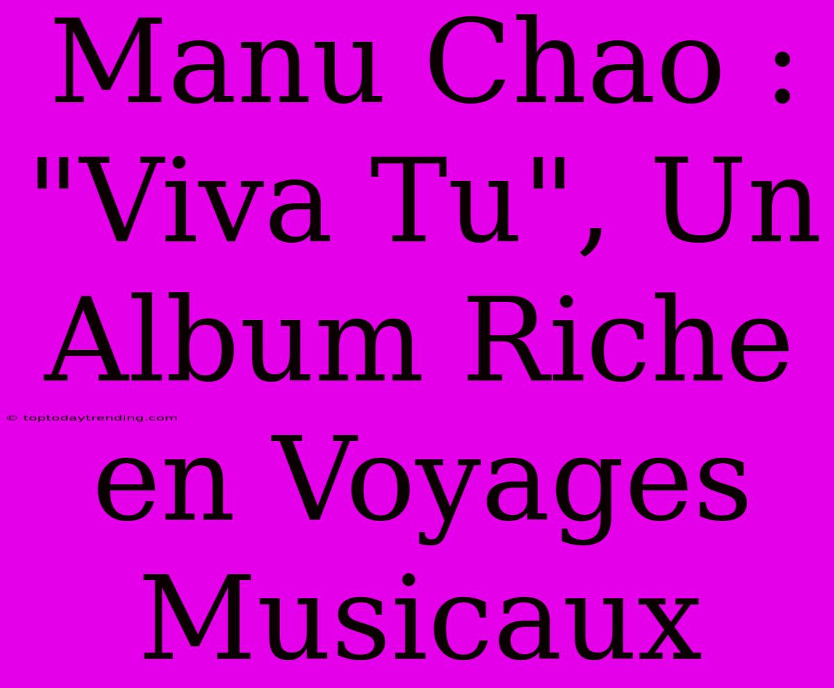 Manu Chao : 