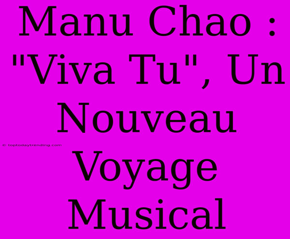 Manu Chao : 