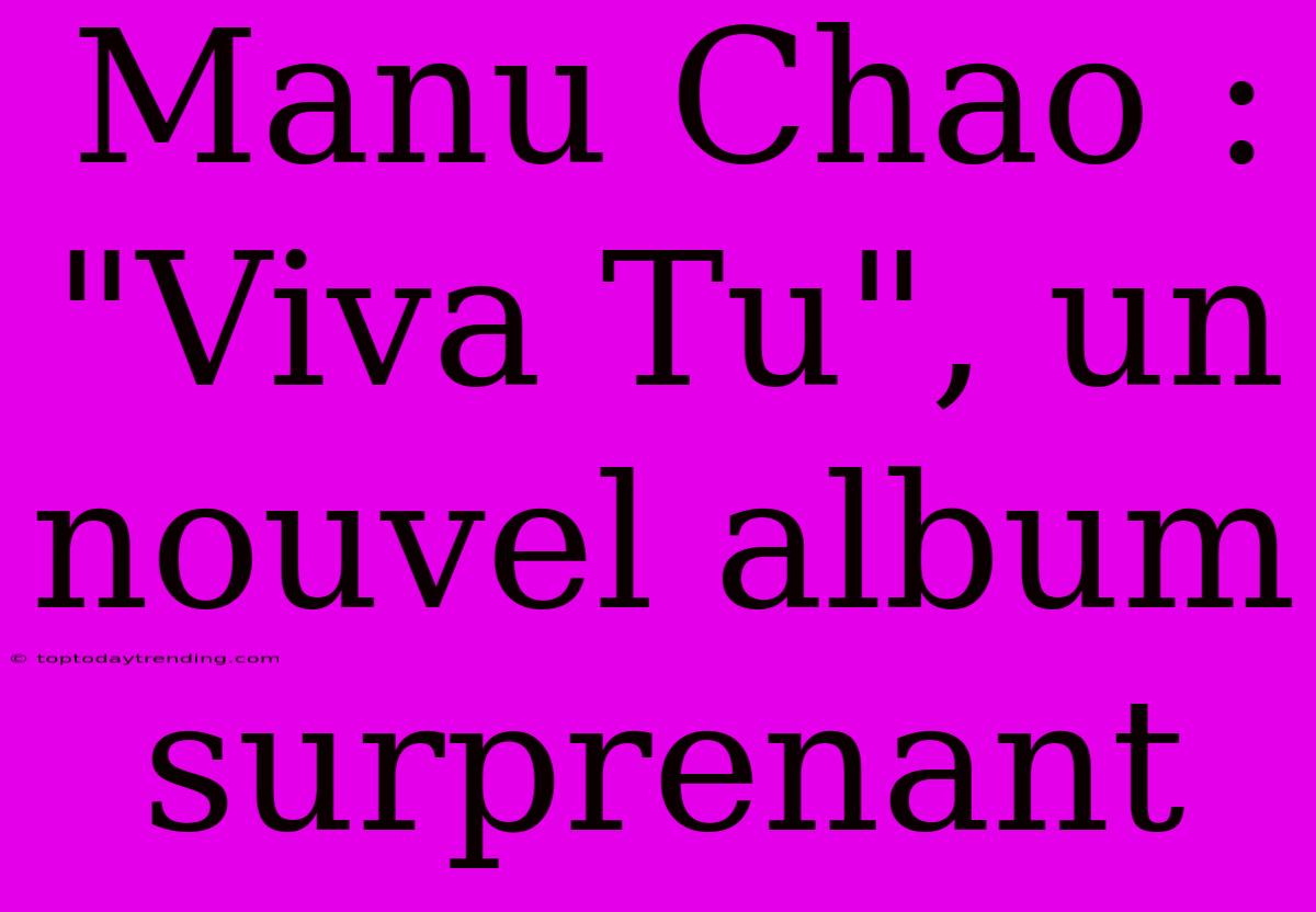 Manu Chao : 