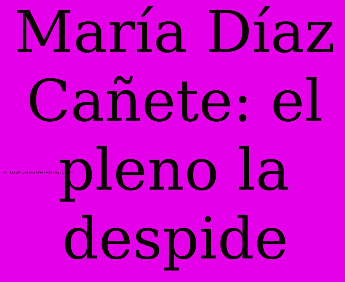 María Díaz Cañete: El Pleno La Despide