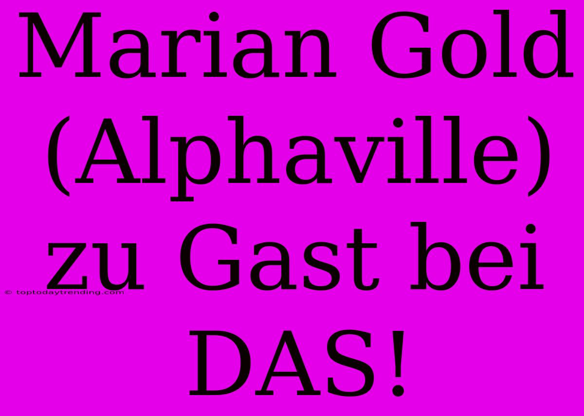 Marian Gold (Alphaville) Zu Gast Bei DAS!