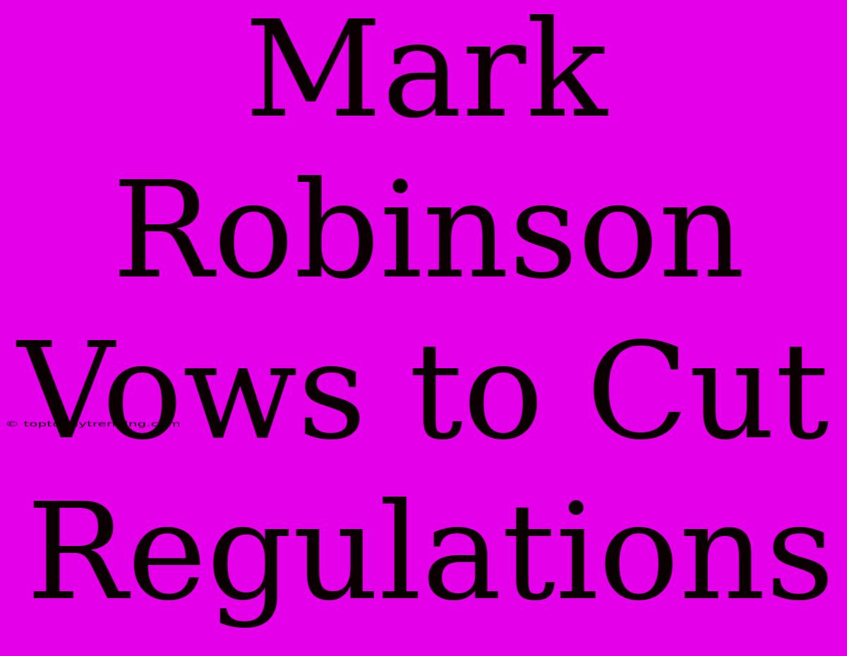 Mark Robinson Vows To Cut Regulations