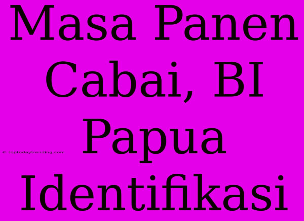 Masa Panen Cabai, BI Papua Identifikasi