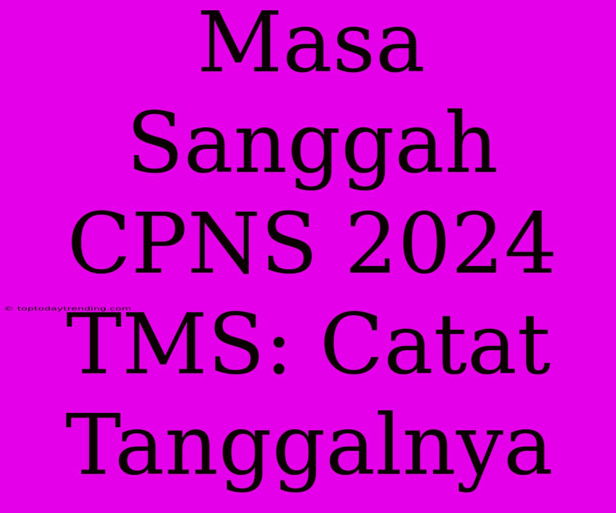 Masa Sanggah CPNS 2024 TMS: Catat Tanggalnya