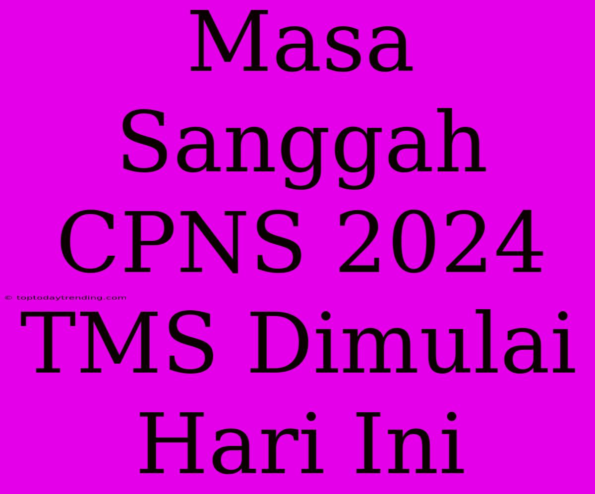 Masa Sanggah CPNS 2024 TMS Dimulai Hari Ini