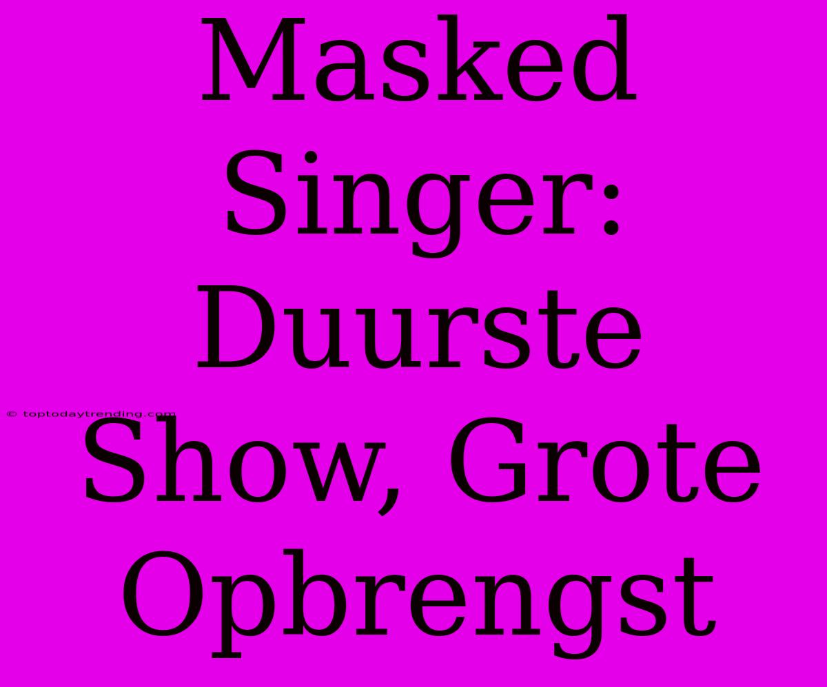 Masked Singer: Duurste Show, Grote Opbrengst