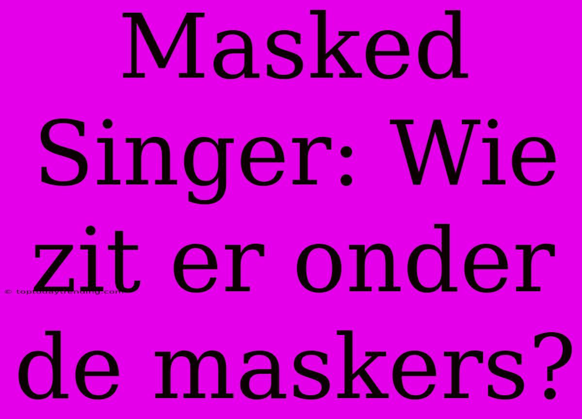 Masked Singer: Wie Zit Er Onder De Maskers?