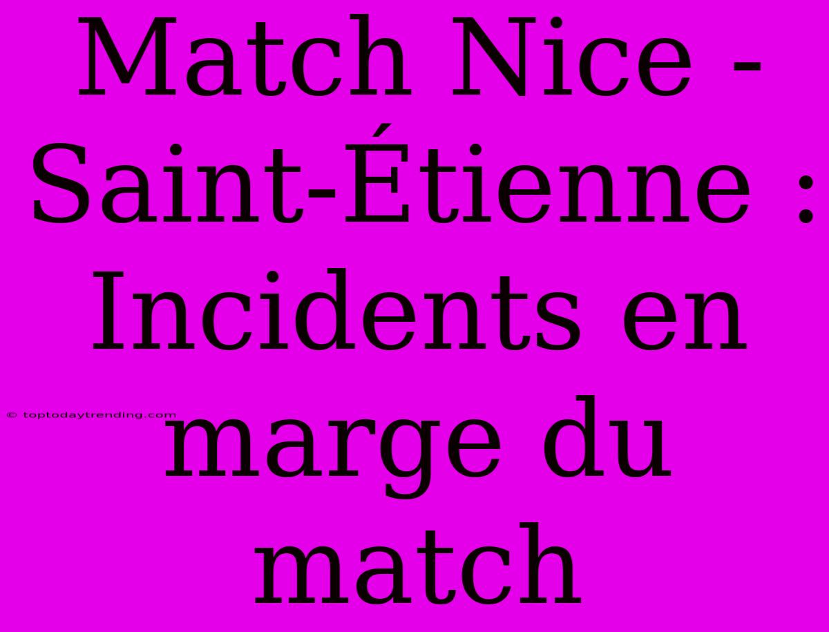 Match Nice - Saint-Étienne : Incidents En Marge Du Match