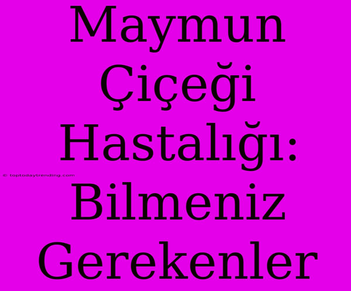 Maymun Çiçeği Hastalığı: Bilmeniz Gerekenler