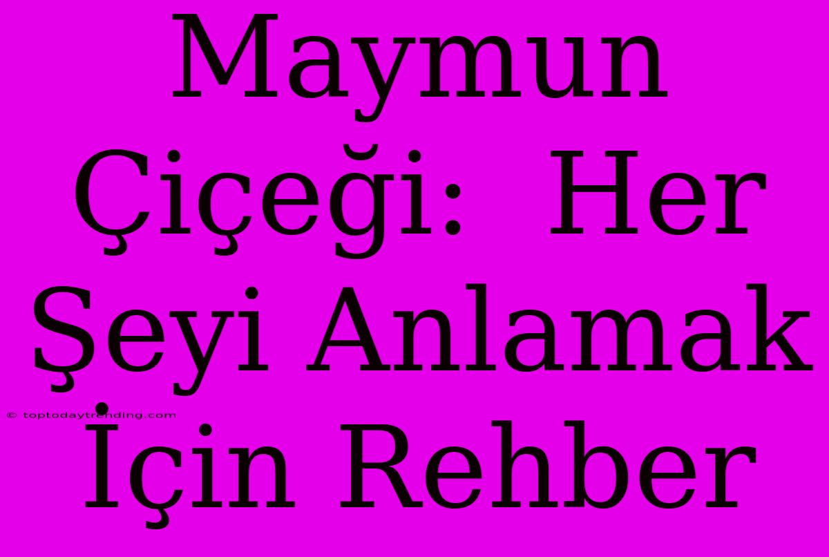 Maymun Çiçeği:  Her Şeyi Anlamak İçin Rehber