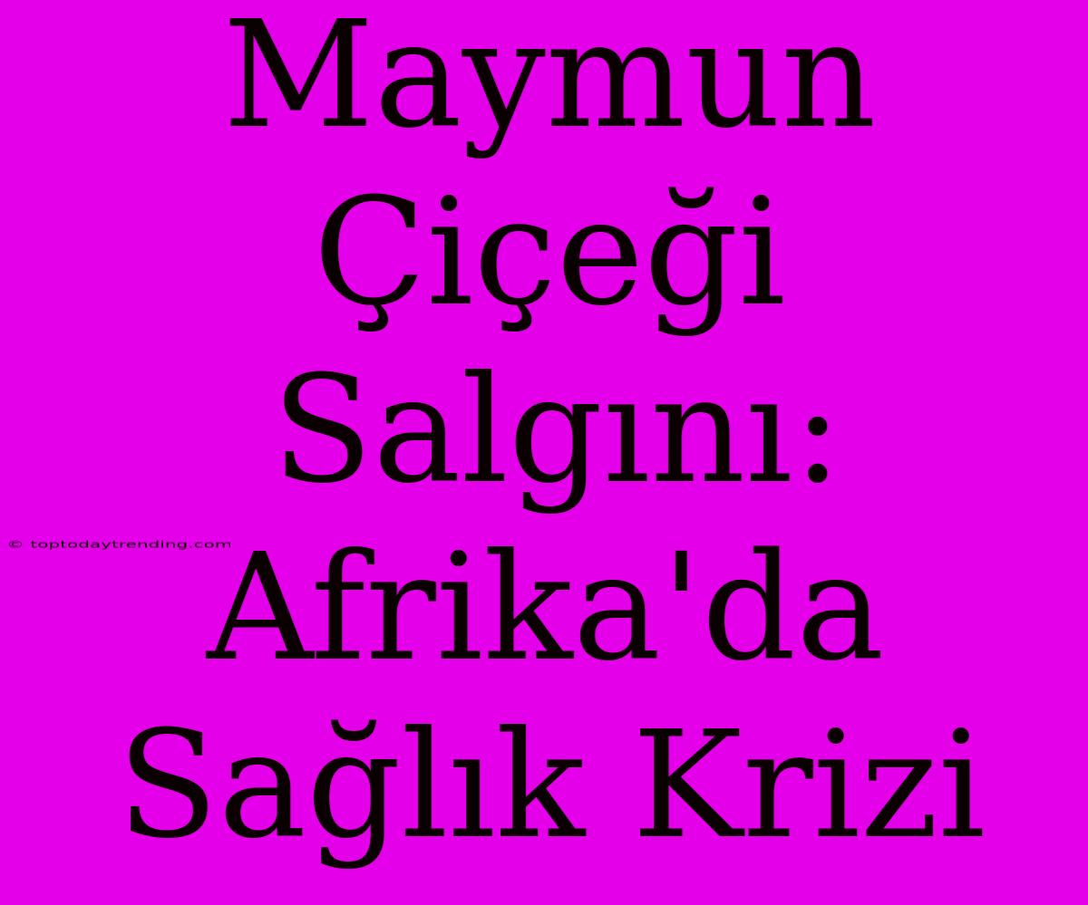 Maymun Çiçeği Salgını: Afrika'da Sağlık Krizi