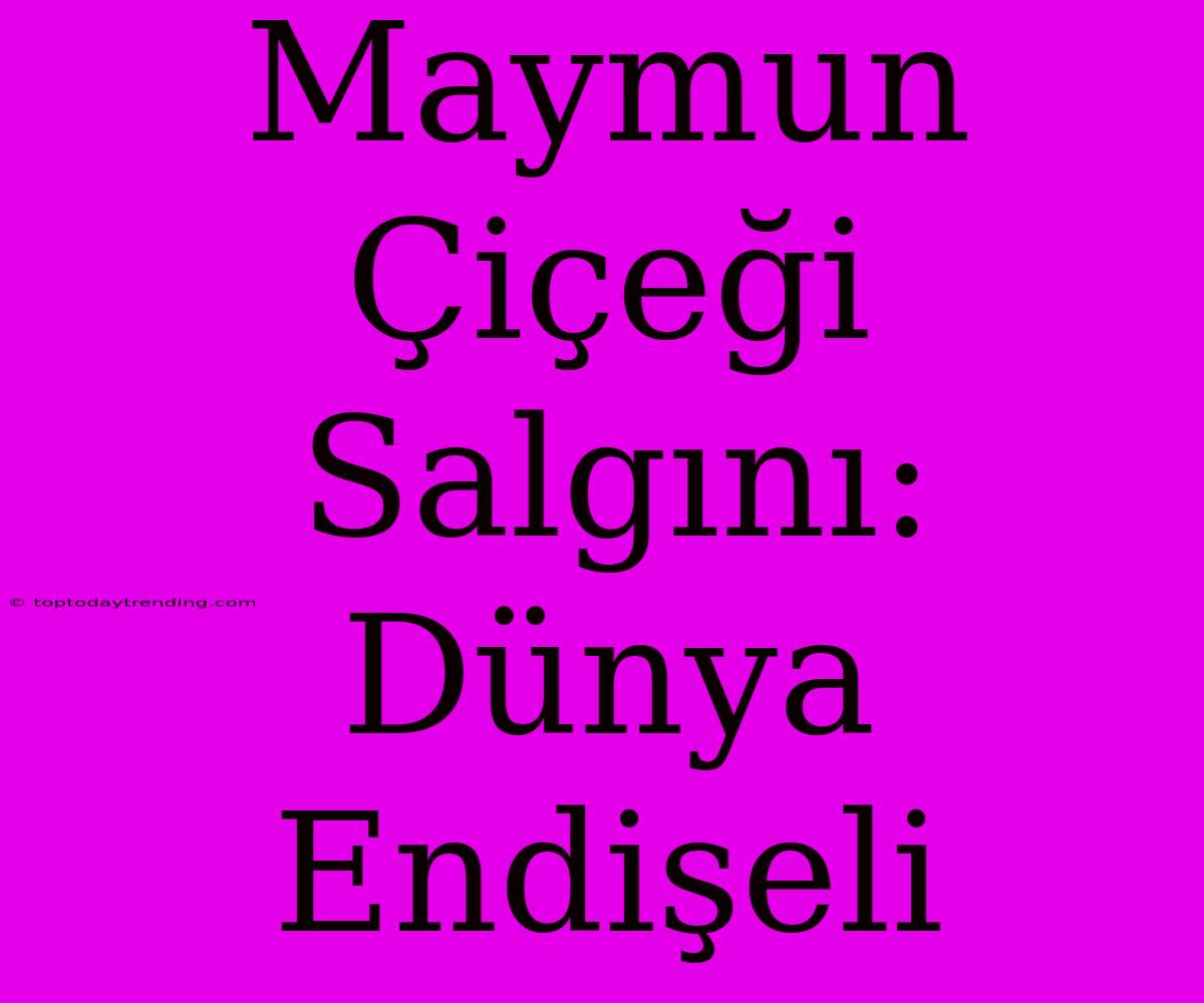 Maymun Çiçeği Salgını: Dünya Endişeli