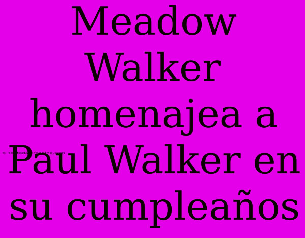 Meadow Walker Homenajea A Paul Walker En Su Cumpleaños