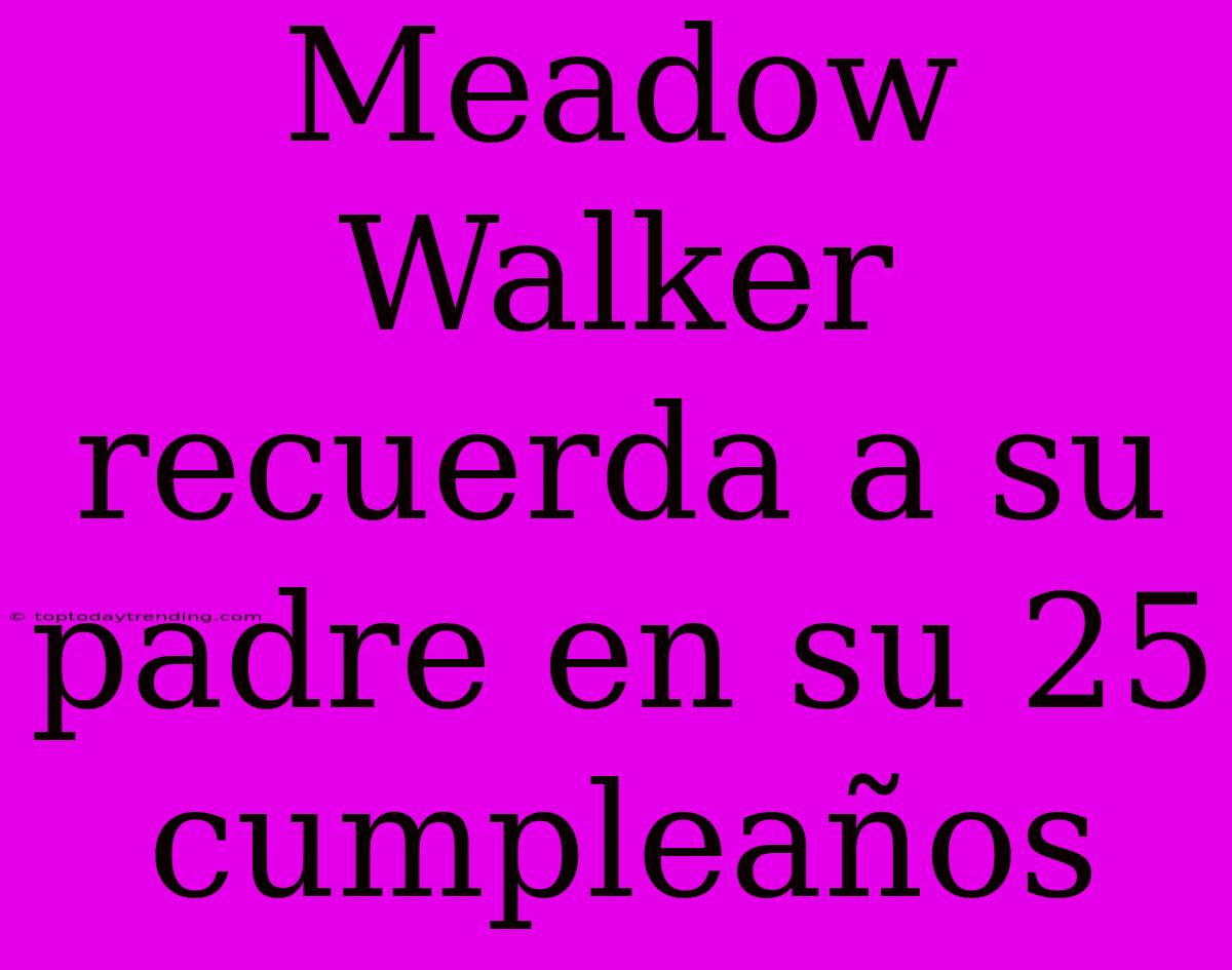 Meadow Walker Recuerda A Su Padre En Su 25 Cumpleaños