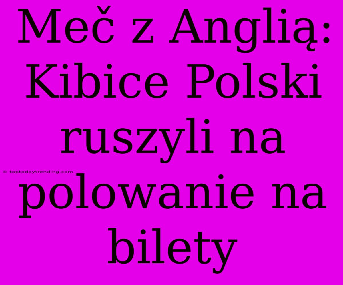 Meč Z Anglią: Kibice Polski Ruszyli Na Polowanie Na Bilety