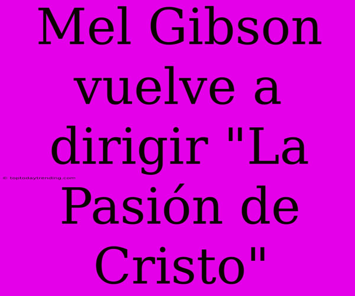 Mel Gibson Vuelve A Dirigir 