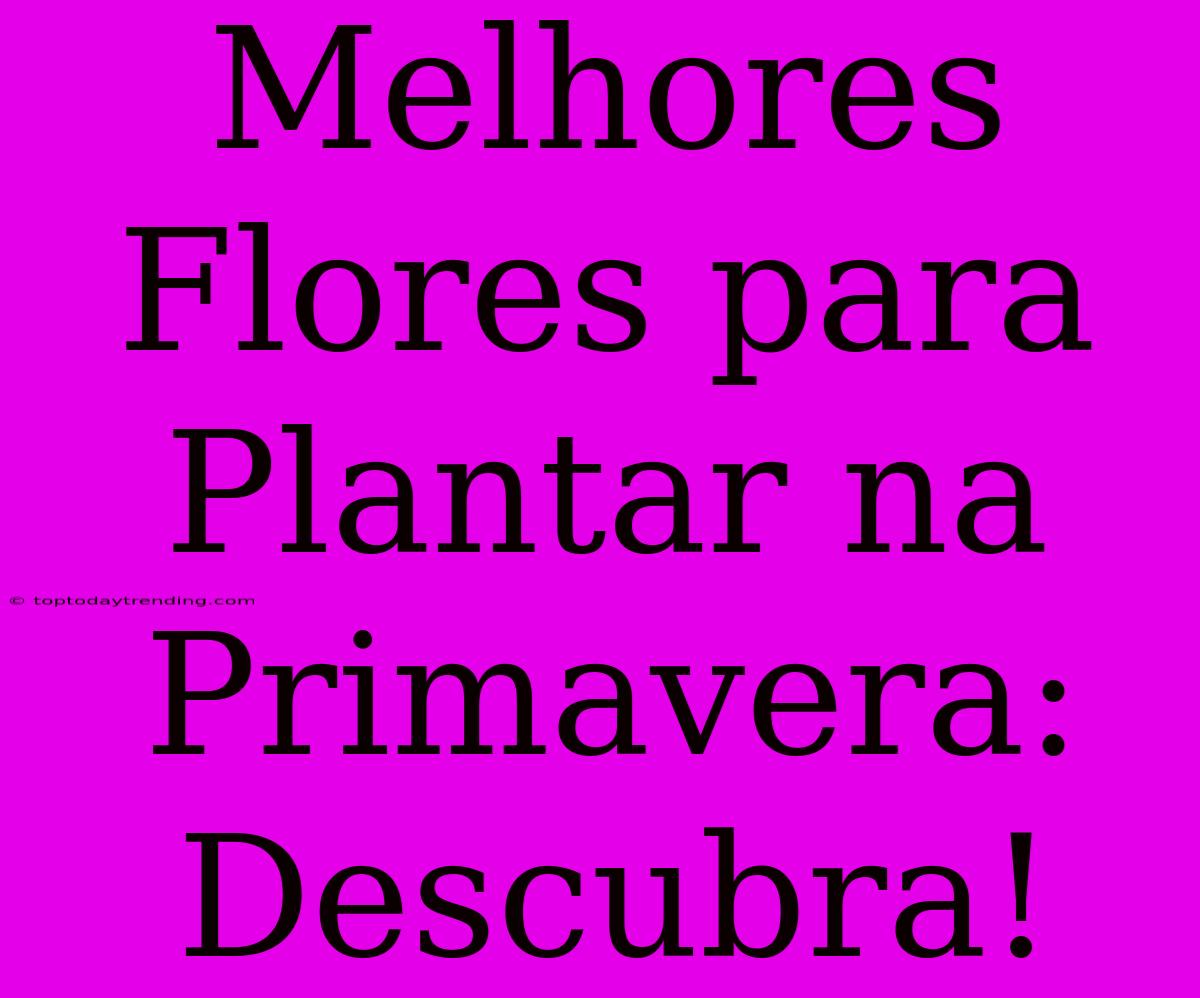 Melhores Flores Para Plantar Na Primavera: Descubra!