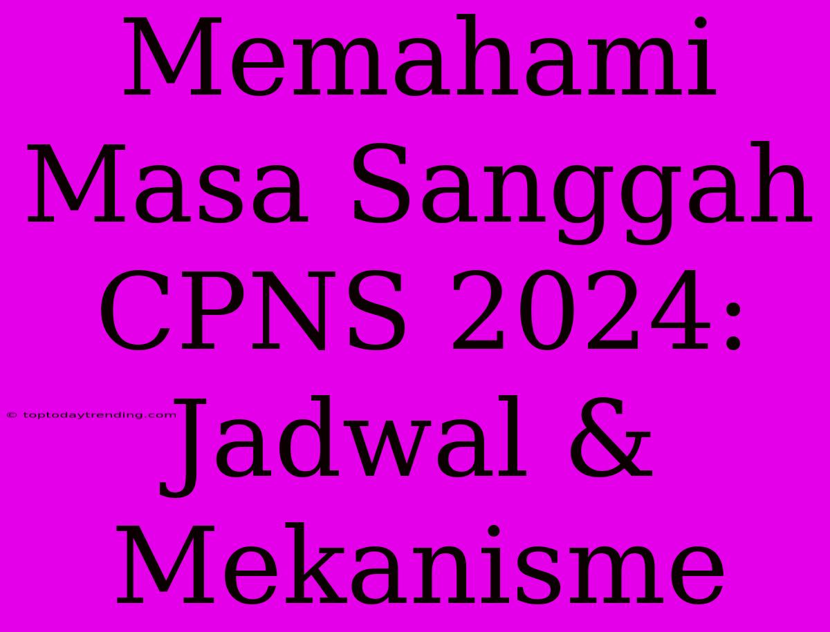 Memahami Masa Sanggah CPNS 2024: Jadwal & Mekanisme