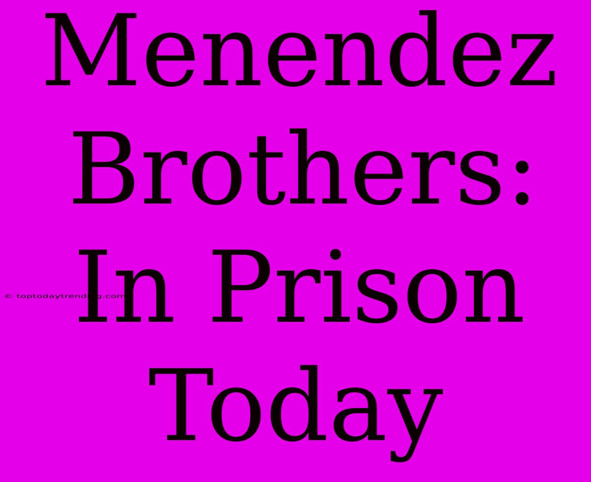 Menendez Brothers: In Prison Today