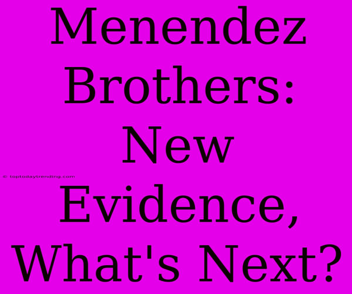 Menendez Brothers: New Evidence, What's Next?