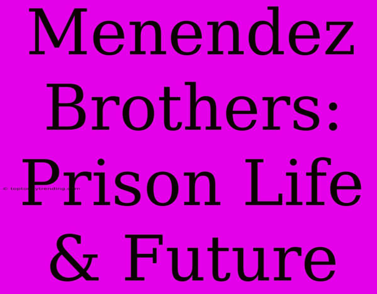 Menendez Brothers: Prison Life & Future