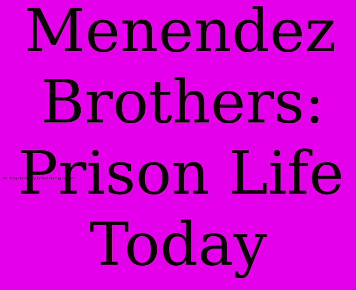 Menendez Brothers: Prison Life Today