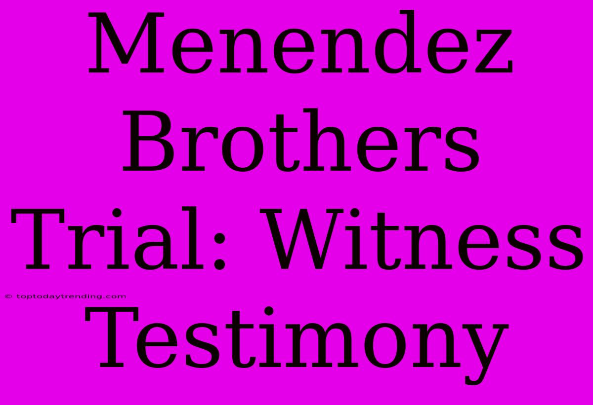 Menendez Brothers Trial: Witness Testimony