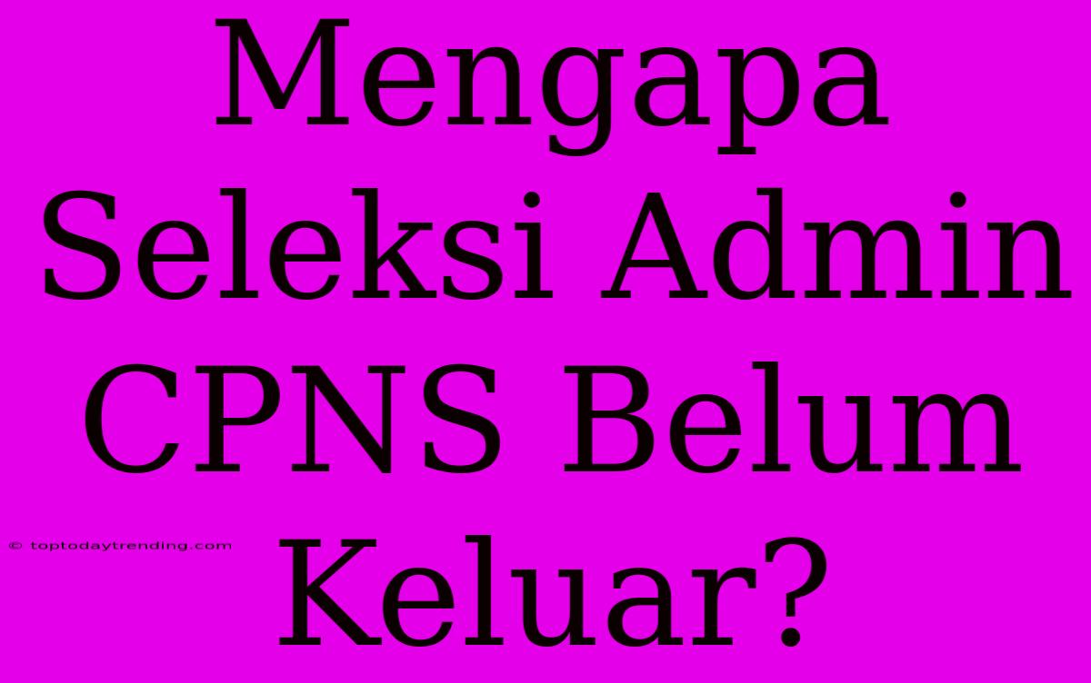 Mengapa Seleksi Admin CPNS Belum Keluar?