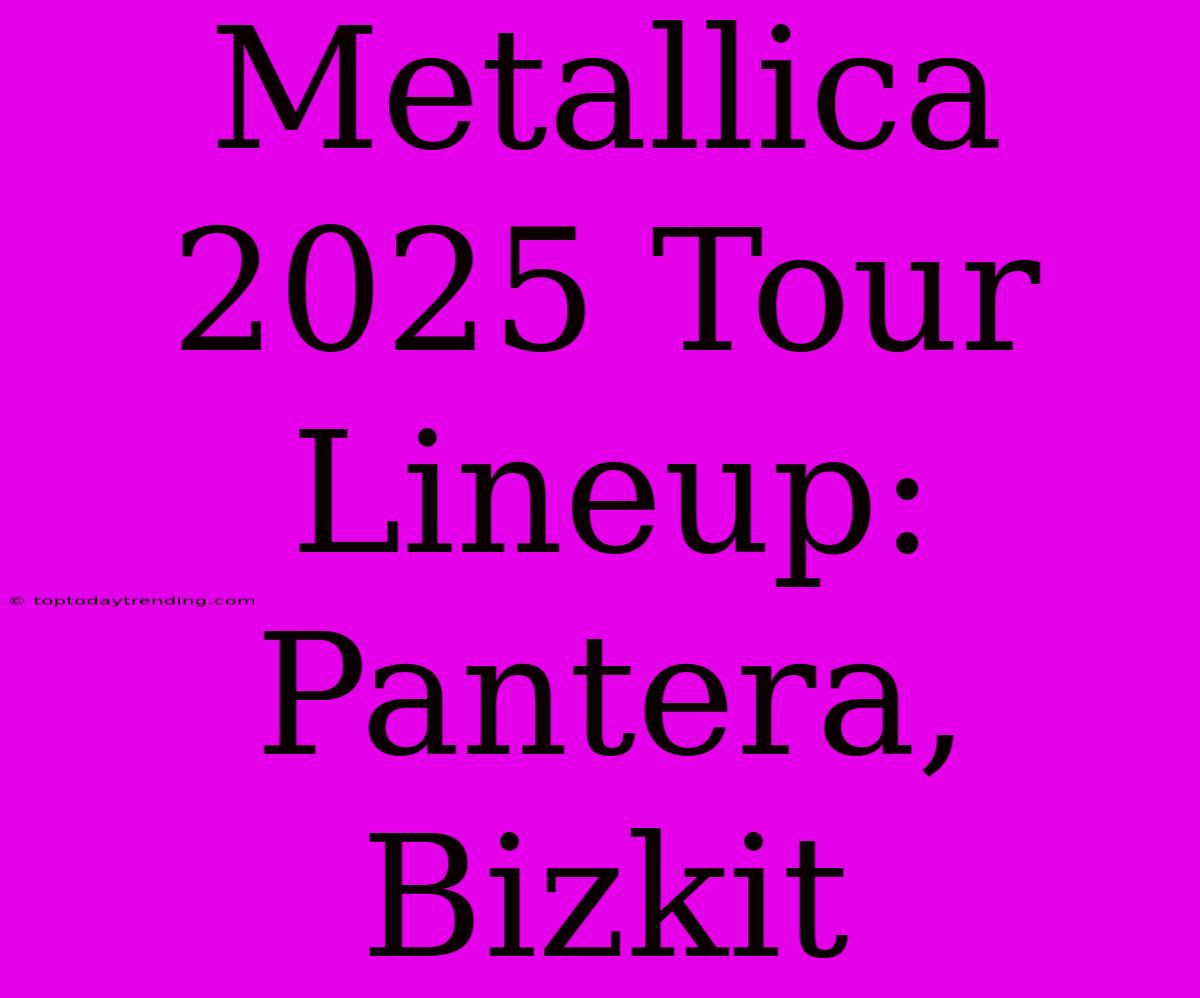 Metallica 2025 Tour Lineup: Pantera, Bizkit