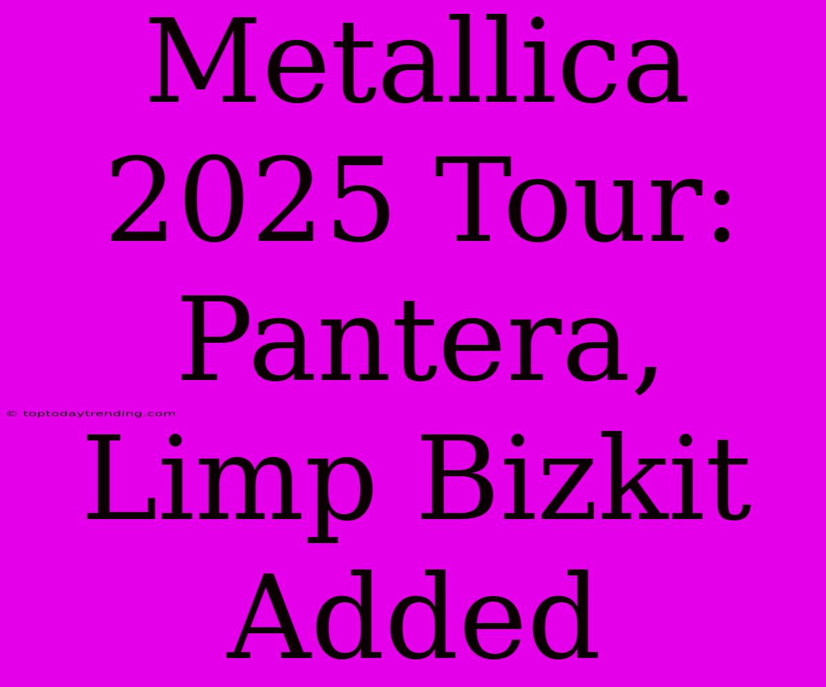 Metallica 2025 Tour: Pantera, Limp Bizkit Added