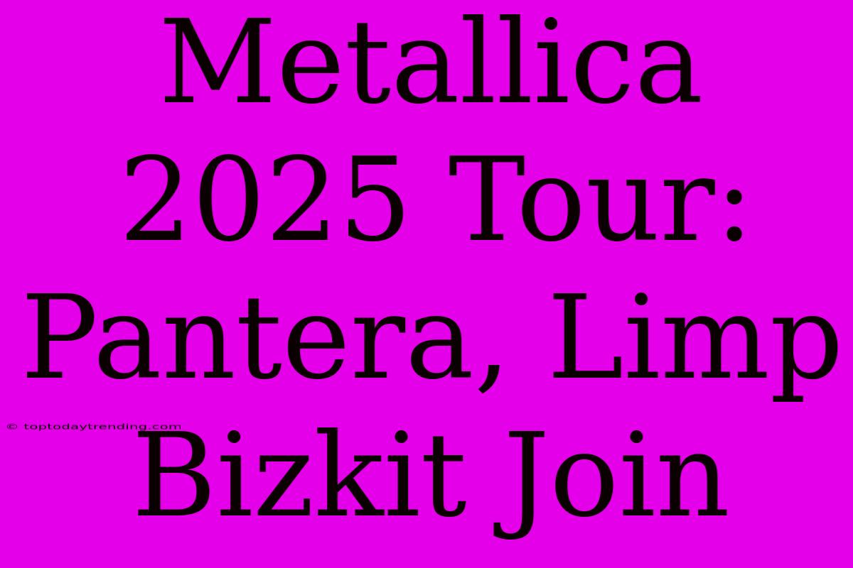 Metallica 2025 Tour: Pantera, Limp Bizkit Join