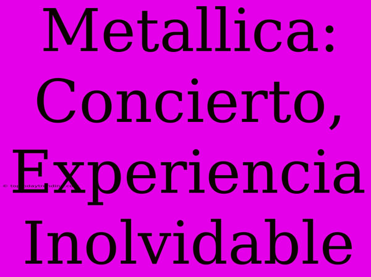 Metallica: Concierto, Experiencia Inolvidable