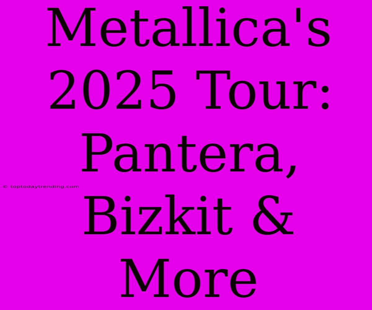 Metallica's 2025 Tour: Pantera, Bizkit & More